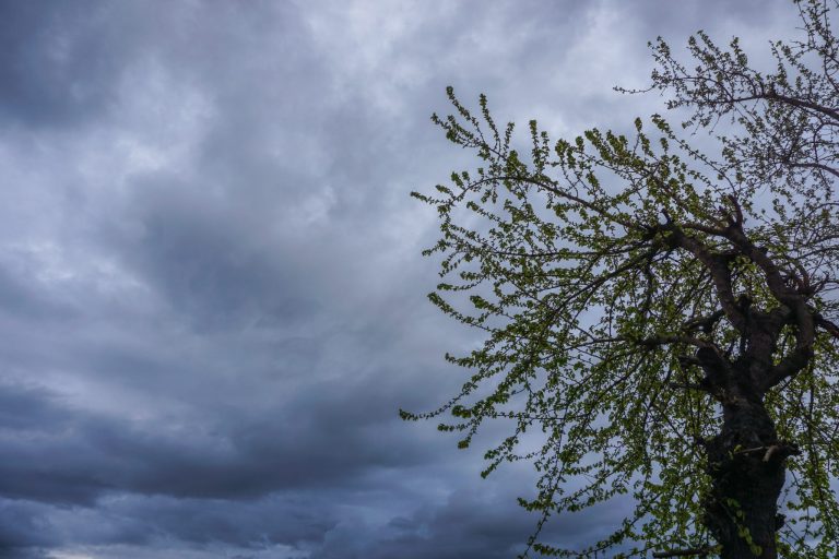 Καιρός: Πού αναμένονται βροχές μέσα στην ημέρα – Έρχεται επιδείνωση τις επόμενες ημέρες