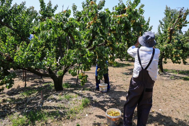 Ερώτηση Οδ. Κωνσταντινόπουλου για την εξαίρεση παραγωγών της Αρκαδίας από το Μέτρο 23