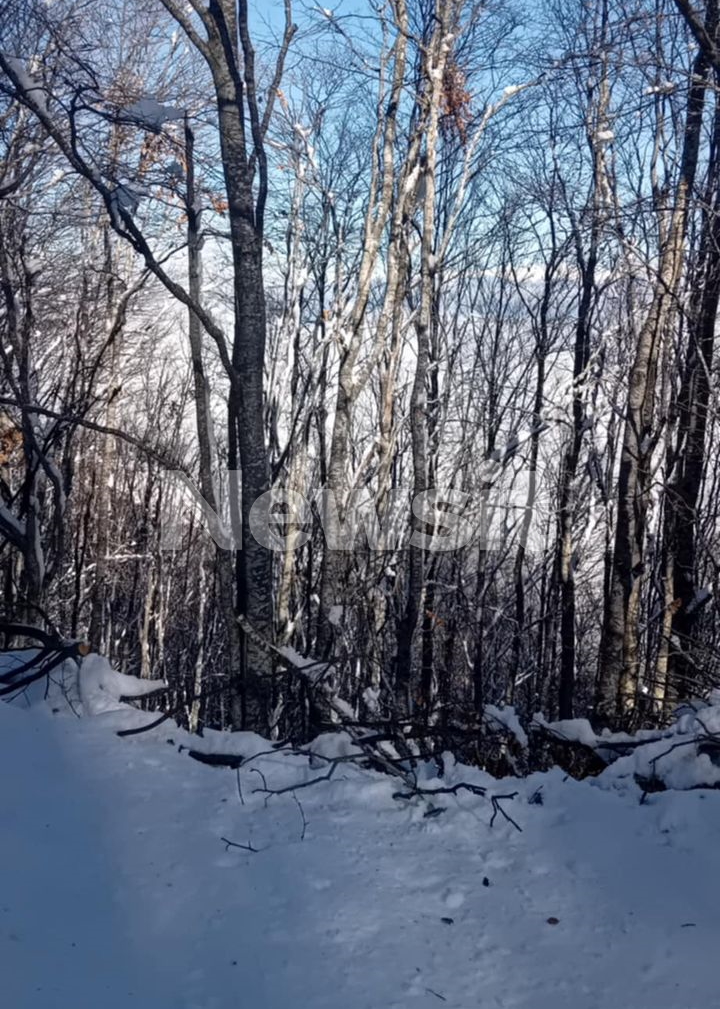 Η περιοχή όπου διεξάγονται οι έρευνες είναι δύσβατη